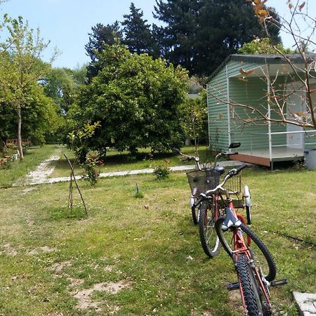 SaklıBahçe Pension Çıralı Exterior foto