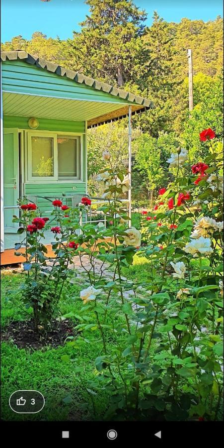 SaklıBahçe Pension Çıralı Exterior foto