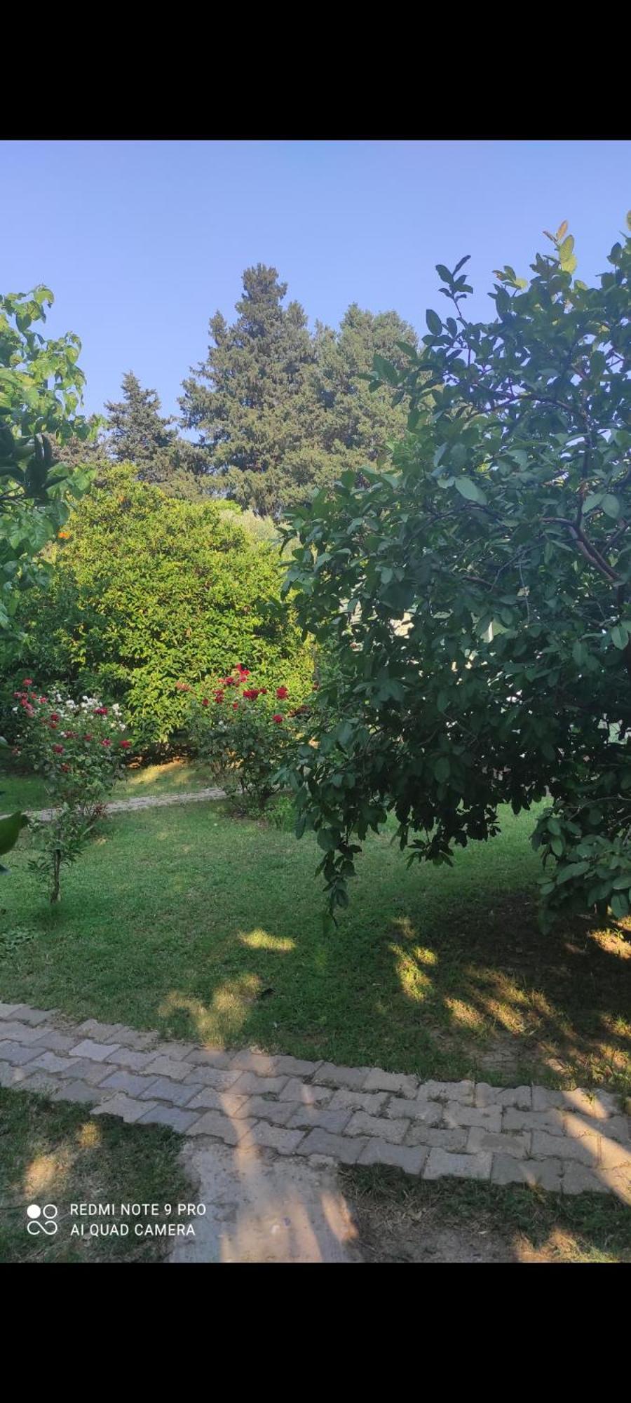 SaklıBahçe Pension Çıralı Exterior foto