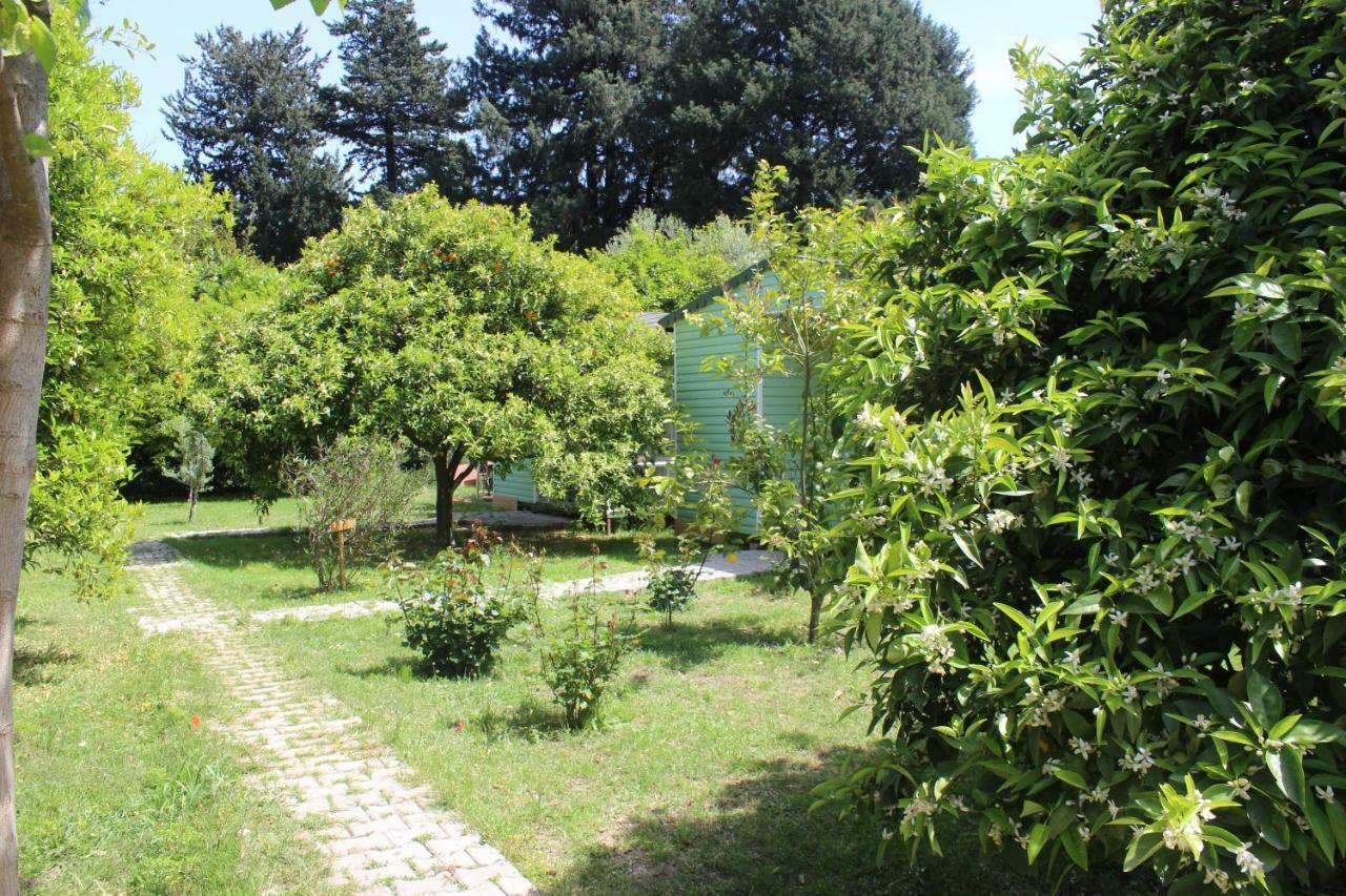 SaklıBahçe Pension Çıralı Exterior foto