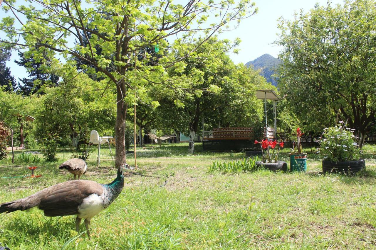 SaklıBahçe Pension Çıralı Exterior foto