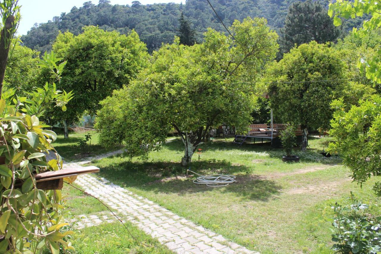 SaklıBahçe Pension Çıralı Exterior foto