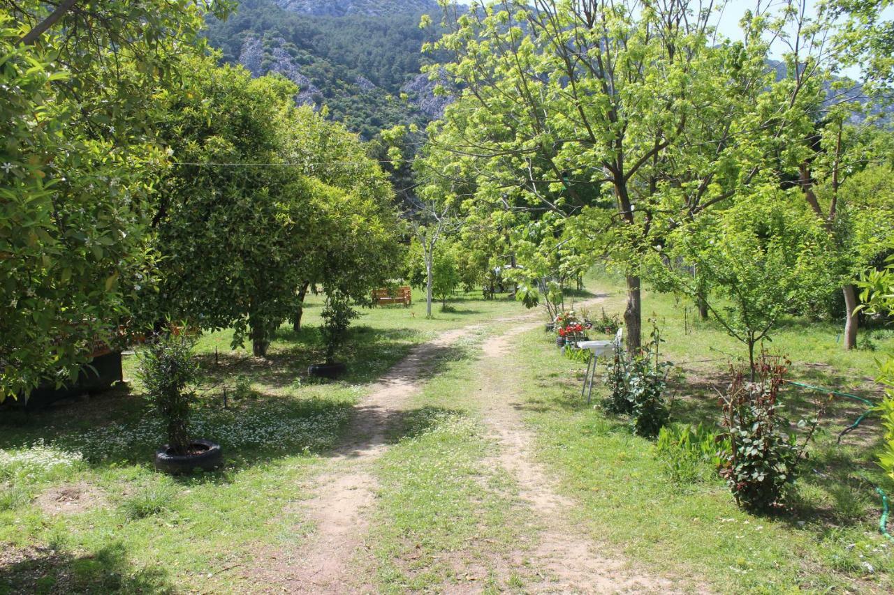 SaklıBahçe Pension Çıralı Exterior foto