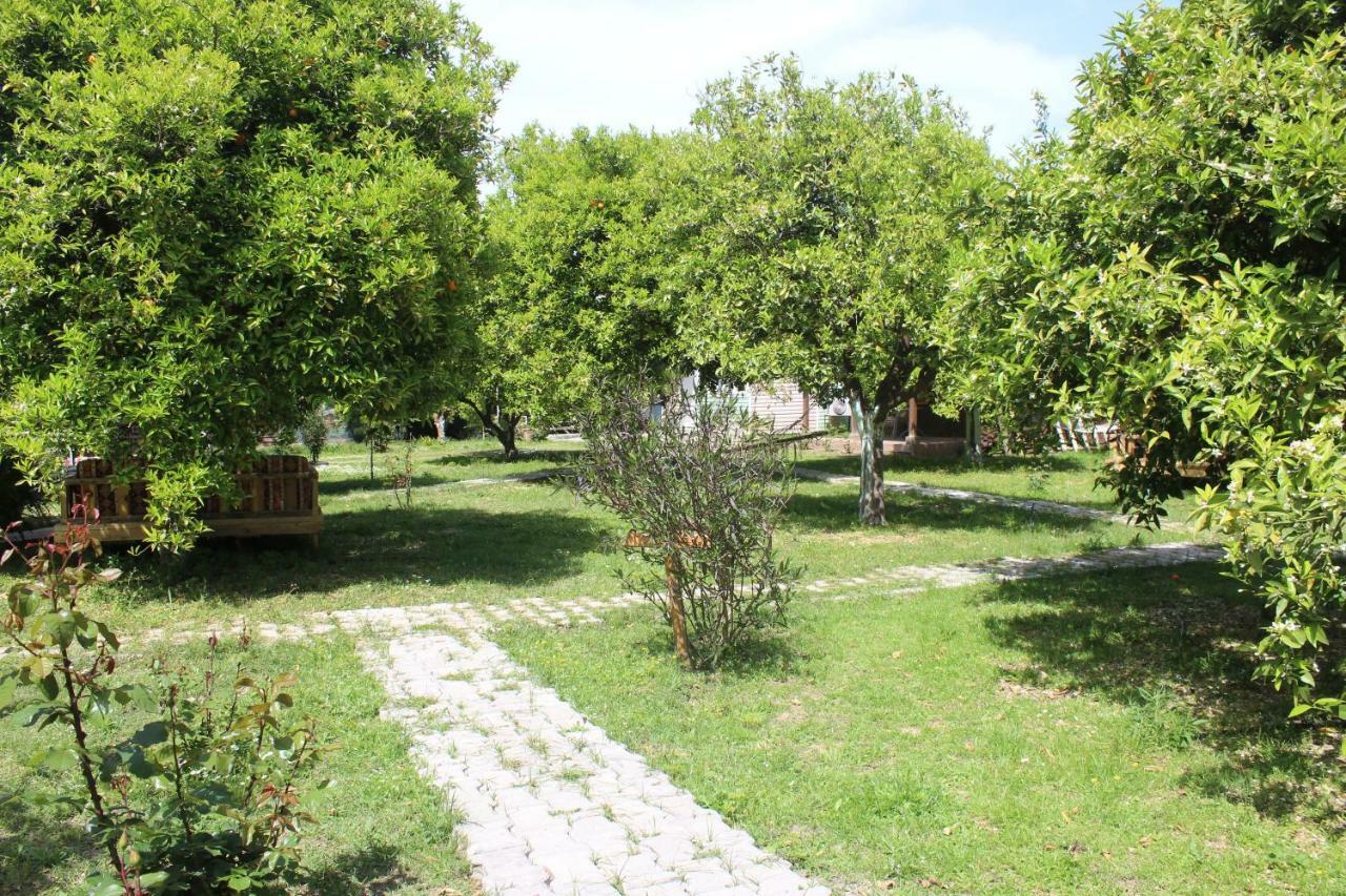 SaklıBahçe Pension Çıralı Exterior foto