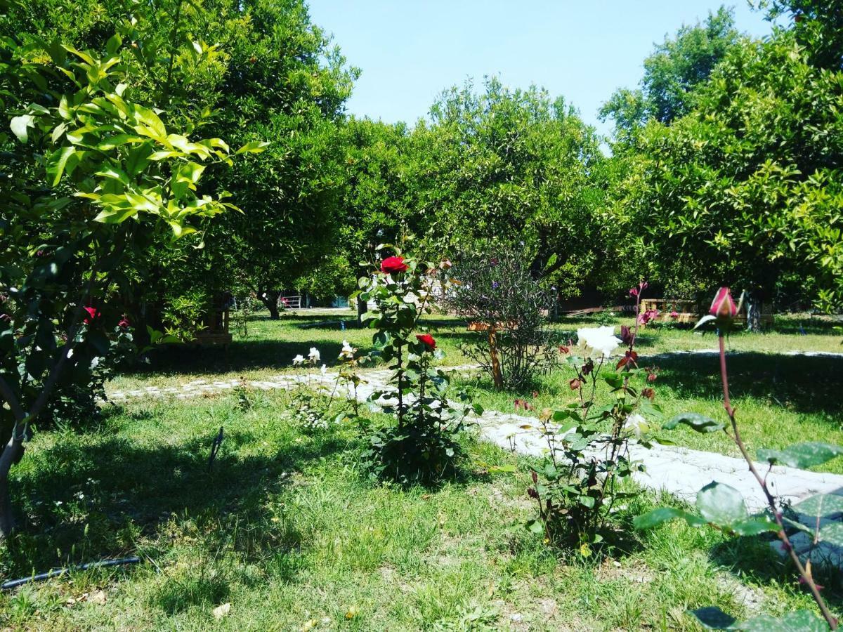 SaklıBahçe Pension Çıralı Exterior foto